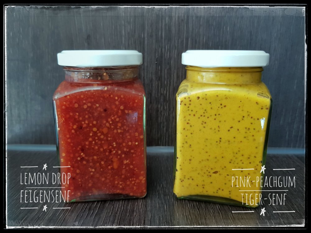 Senf und Feigensenf