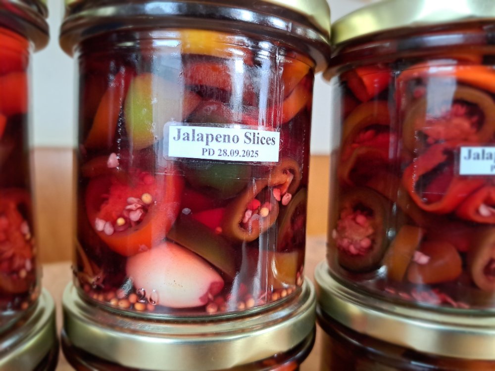 Slices 280925 01.jpg