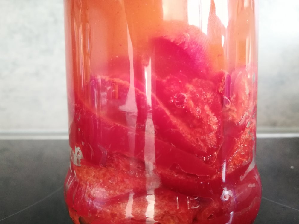 Tag 5 _20200823_144459.jpg