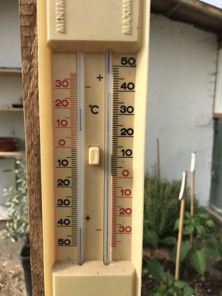 Temperatur Gewächshaus 39°C