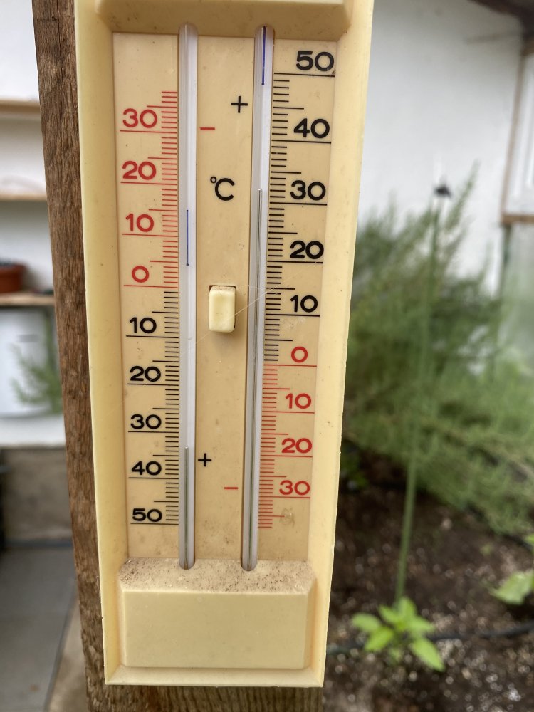 Temperatur Gewächshaus