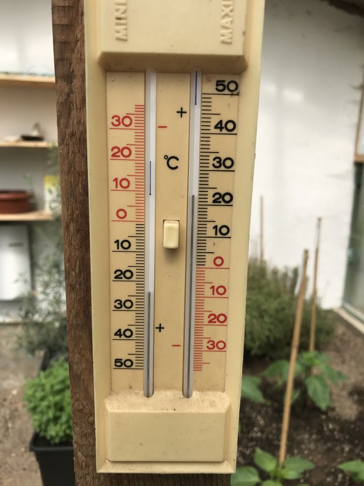 Temperatur Mittag Gewächshaus 29.04.