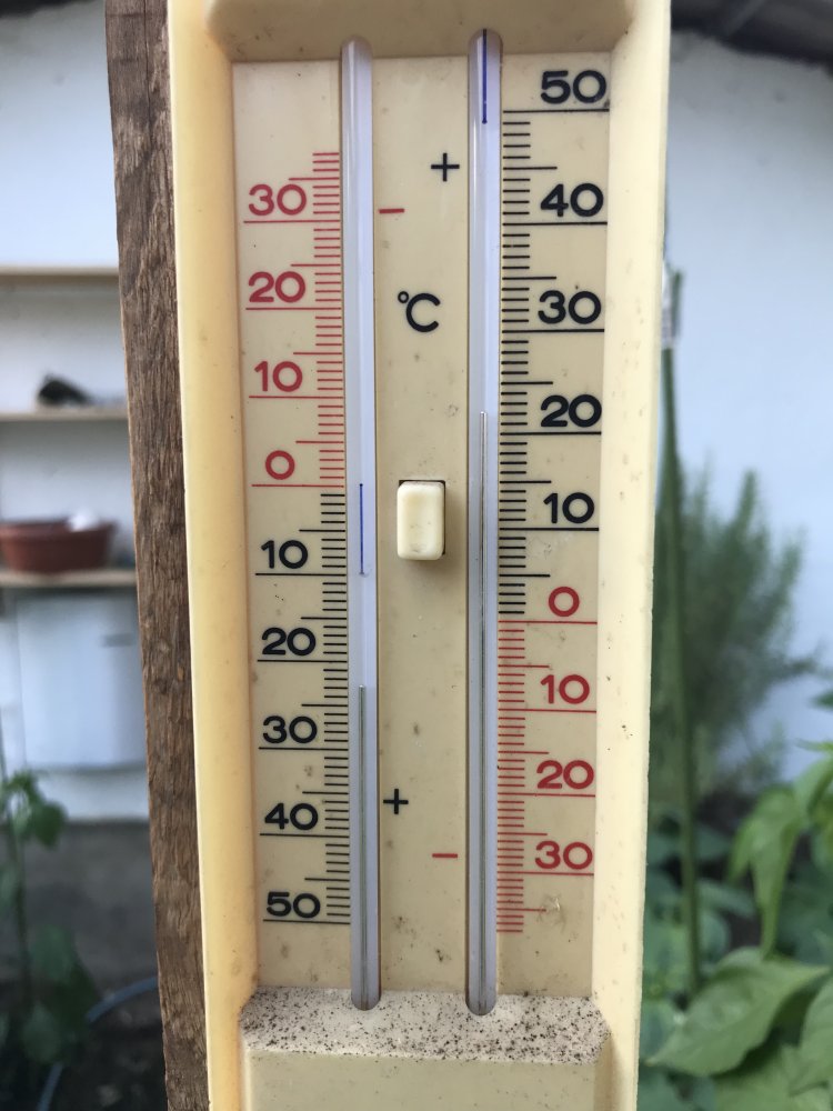 Temperaturen Gewächshaus