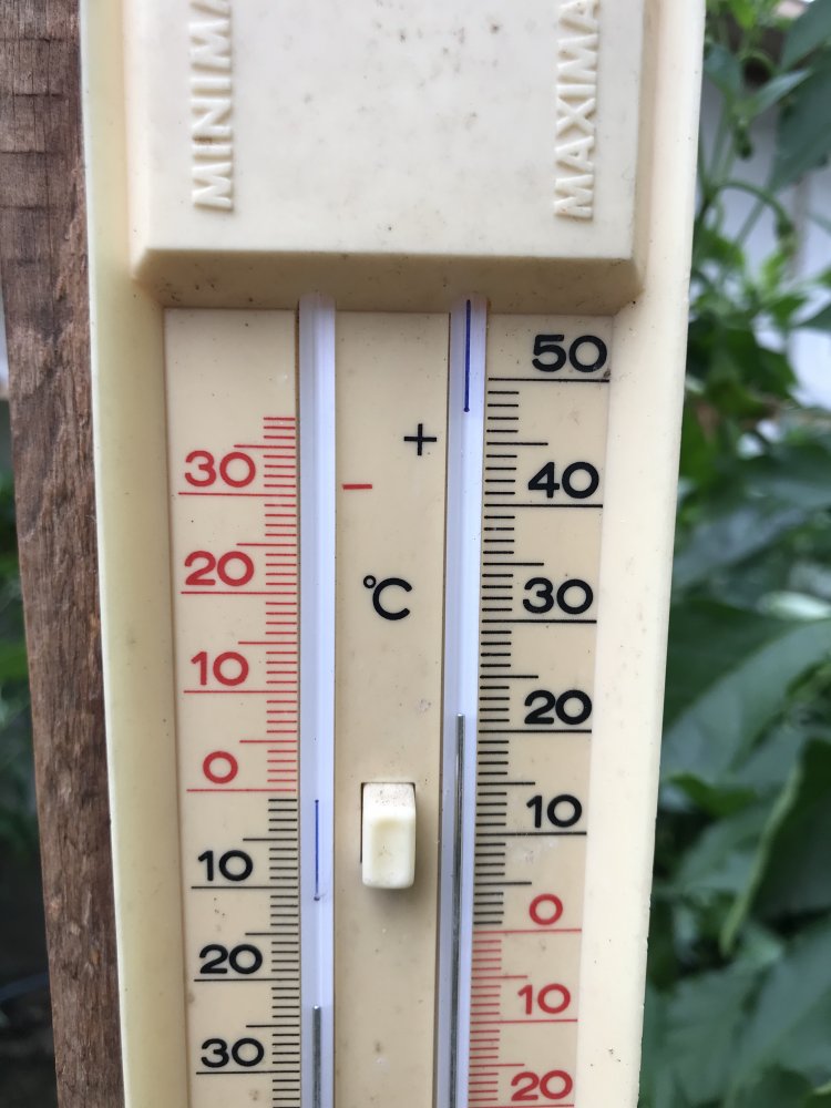 Temperaturen Gewächshaus