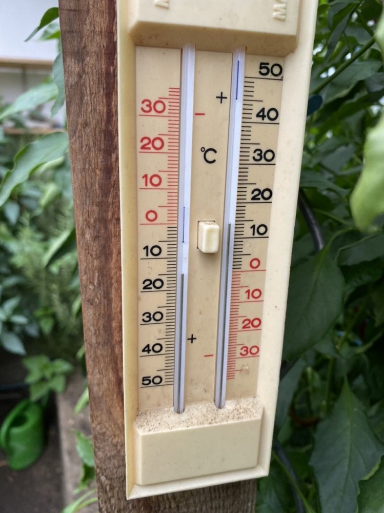 Temperaturen Gewächshaus