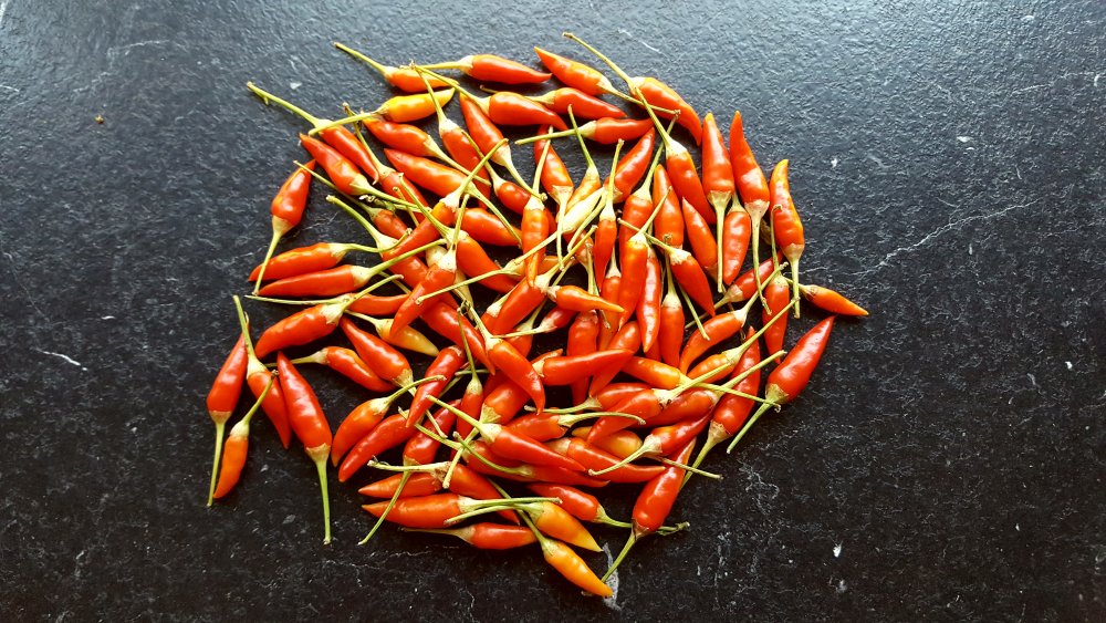 Thaiviolett 4.