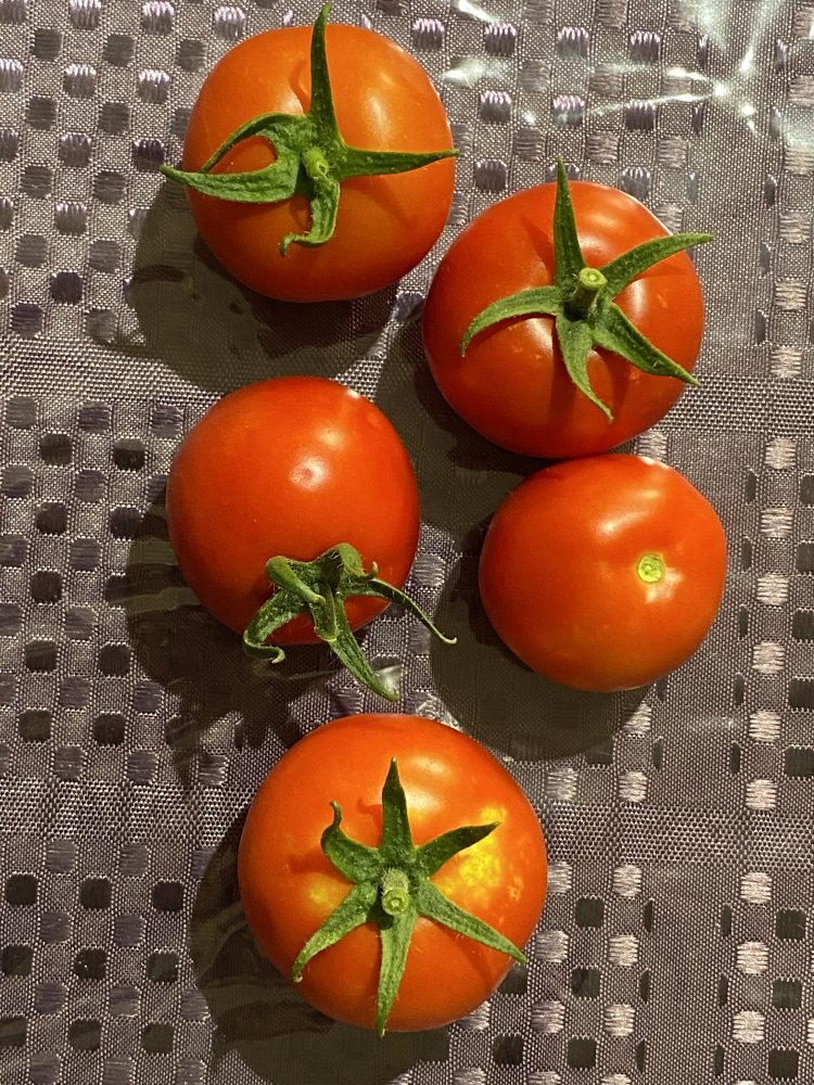 Tomaten