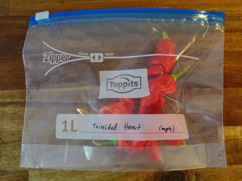 Treffen_Oberursel_Trinidad_Hornet