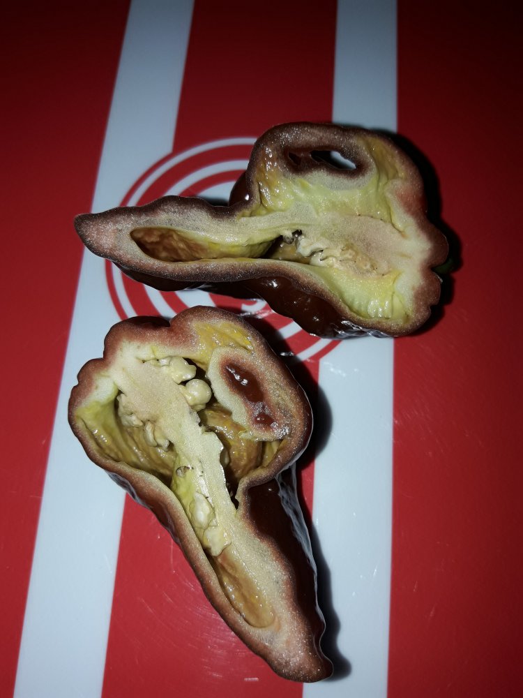 Trinidad Douglah  (2)