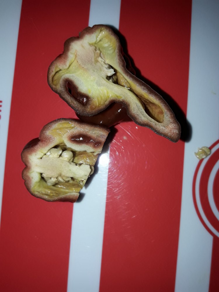 Trinidad Douglah  (3)