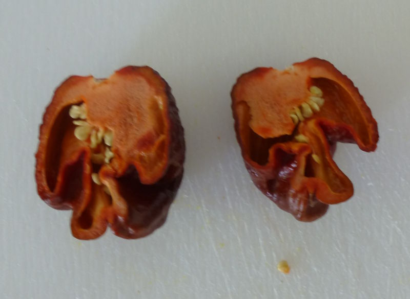 Trinidad Douglah, aufgeschnittene Beere