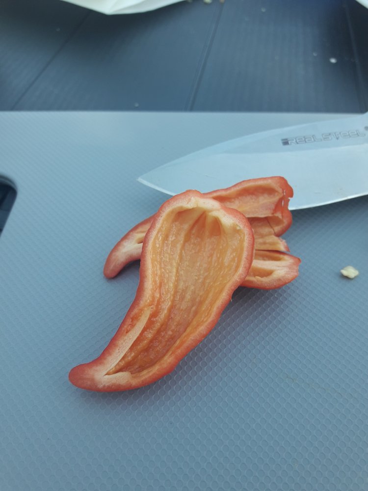 Unbekannte Rote Chinense (2)