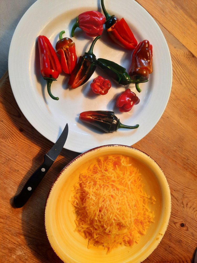 vorbereitete Chilis