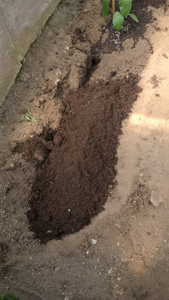 WP_20170430_14_16_31_Pro