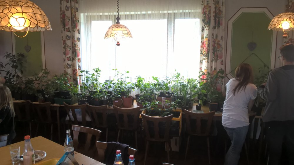 WP_20170520_16_00_04_Pro