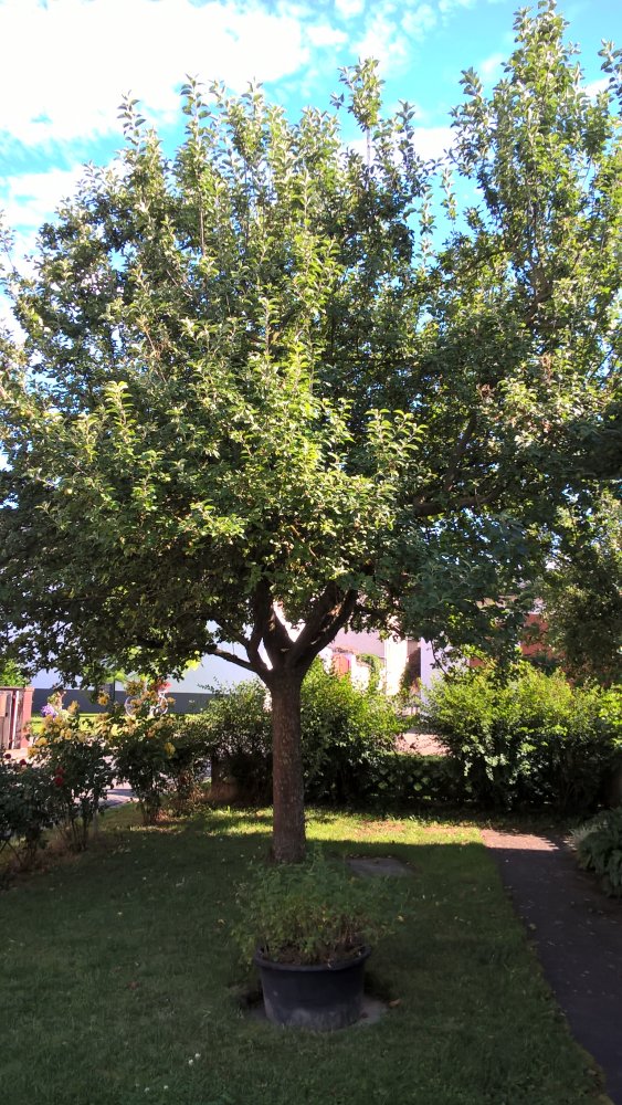 WP_20170708_17_27_24_Pro