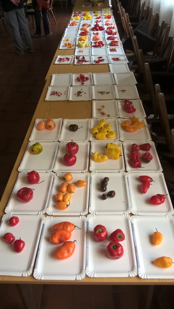 WP_20170923_14_13_31_Pro