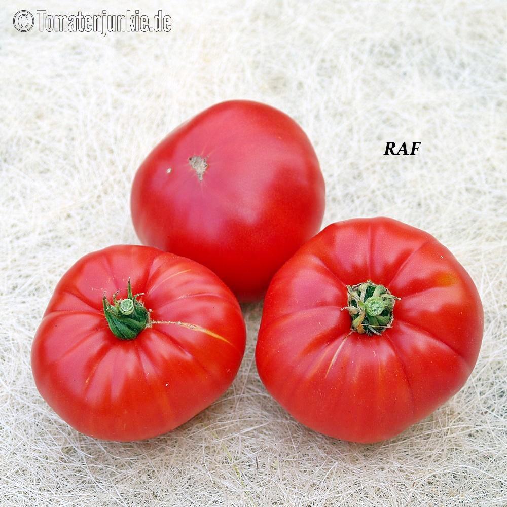 tomatenjunkie.de